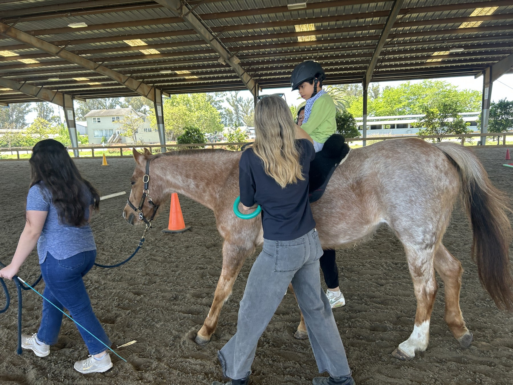 Students learning to care for a horse