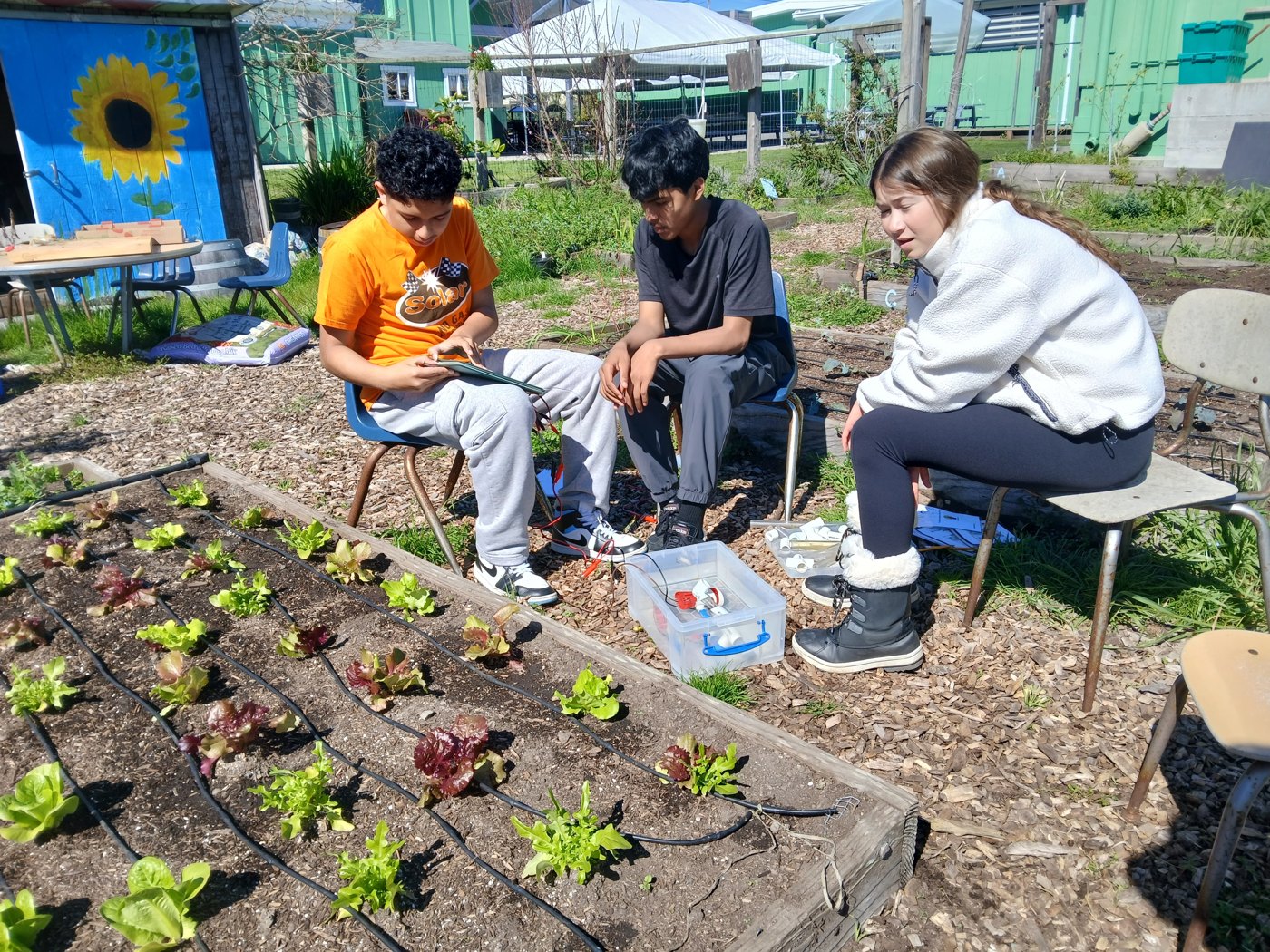 Students working beside a raised garden bed